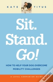 Capa do artigo Sit. Stand. Go!