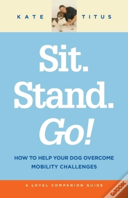 Capa do artigo Sit. Stand. Go!