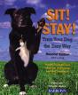 Sit! Stay! Train Your Dog The Easy Way - Preview