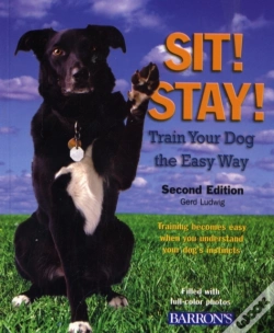 Capa do artigo Sit! Stay! Train Your Dog The Easy Way