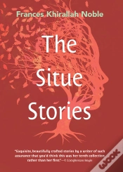 Capa do artigo Situe Stories