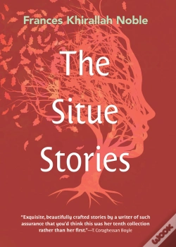 Capa do artigo Situe Stories
