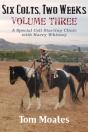 Six Colts, Two Weeks, Volume Three - Preview