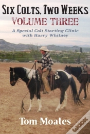Capa do artigo Six Colts, Two Weeks, Volume Three