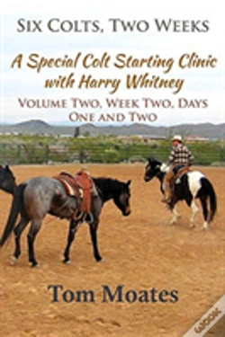 Capa do artigo Six Colts, Two Weeks, Volume Two