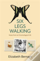 Six Legs Walking