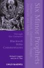 Six Minor Prophets Through The Centuries - Preview
