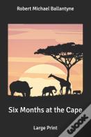 Six Months At The Cape