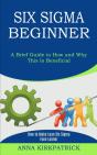 Six Sigma Beginner - Preview