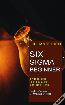 Capa do artigo Six Sigma Beginner