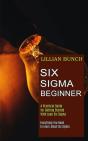 Six Sigma Beginner - Preview