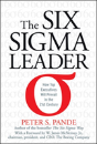 Six Sigma Leader - Preview