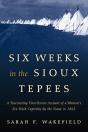 Six Weeks In The Sioux Tepees - Preview