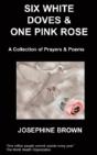 Six White Doves & One Pink Rose - Preview