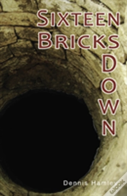 Capa do artigo Sixteen Bricks Down