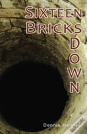 Capa do artigo Sixteen Bricks Down