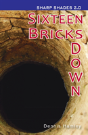 Sixteen Bricks Down  (Sharp Shades) - Preview