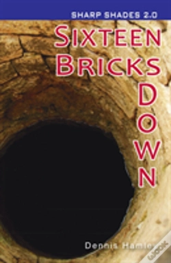Capa do artigo Sixteen Bricks Down  (Sharp Shades)