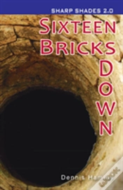 Capa do artigo Sixteen Bricks Down  (Sharp Shades)
