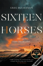 Capa do artigo Sixteen Horses