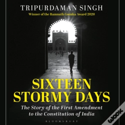 Capa do artigo Sixteen Stormy Days