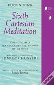 Capa do artigo Sixth Cartesian Meditation