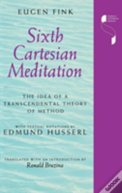 Capa do artigo Sixth Cartesian Meditation