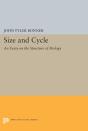 Size And Cycle - Preview