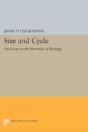 Size And Cycle - Preview