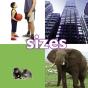 Sizes - Preview