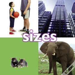 Capa do artigo Sizes