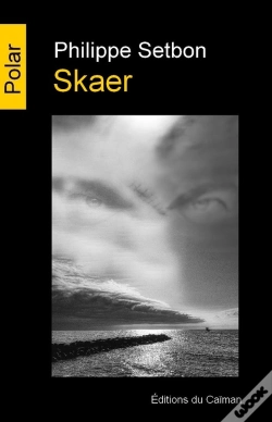 Capa do artigo Skaer