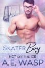 Skater Boy - Preview