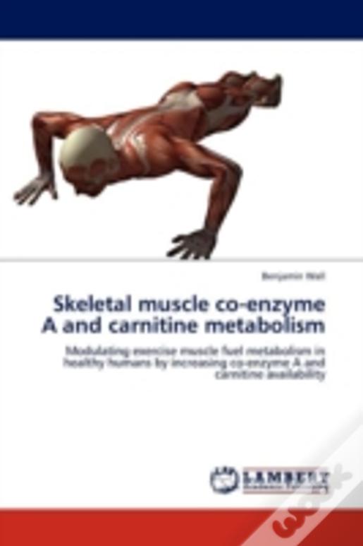 Skeletal Muscle Co-Enzyme A And Carnitine Metabolism
