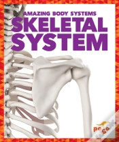 Capa do artigo Skeletal System