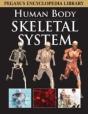 Skeletal System - Preview