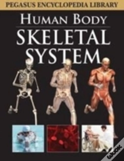 Capa do artigo Skeletal System