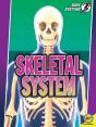 Skeletal System - Preview