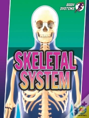 Capa do artigo Skeletal System