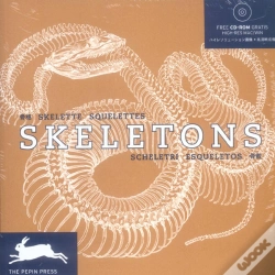 Capa do artigo Skeletons