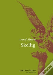 Capa do artigo Skellig