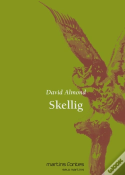 Capa do artigo Skellig
