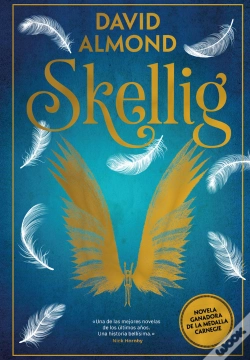 Capa do artigo Skellig