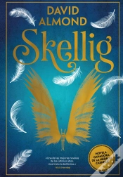 Capa do artigo Skellig