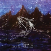 Capa do artigo Skellig - Vinil