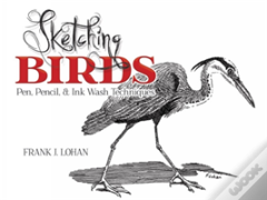 Sketching Birds
