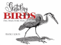 Sketching Birds - Preview
