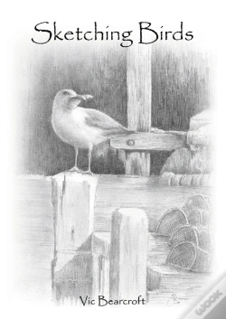 Capa do artigo Sketching Birds