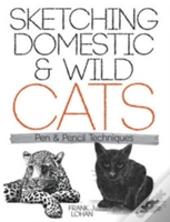 Sketching Domestic And Wild Cats Pen And Pencil Techniques