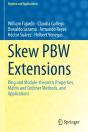 Skew Pbw Extensions - Preview
